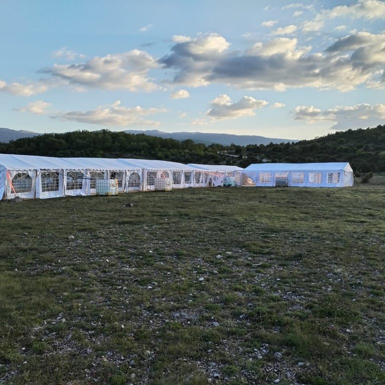 1005 AGBGzzlo6vF5Onzw