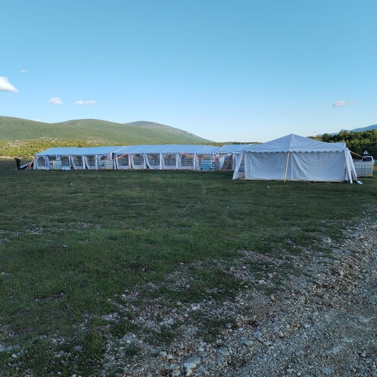 1007 m6Lv22GxPnTQ6Gja